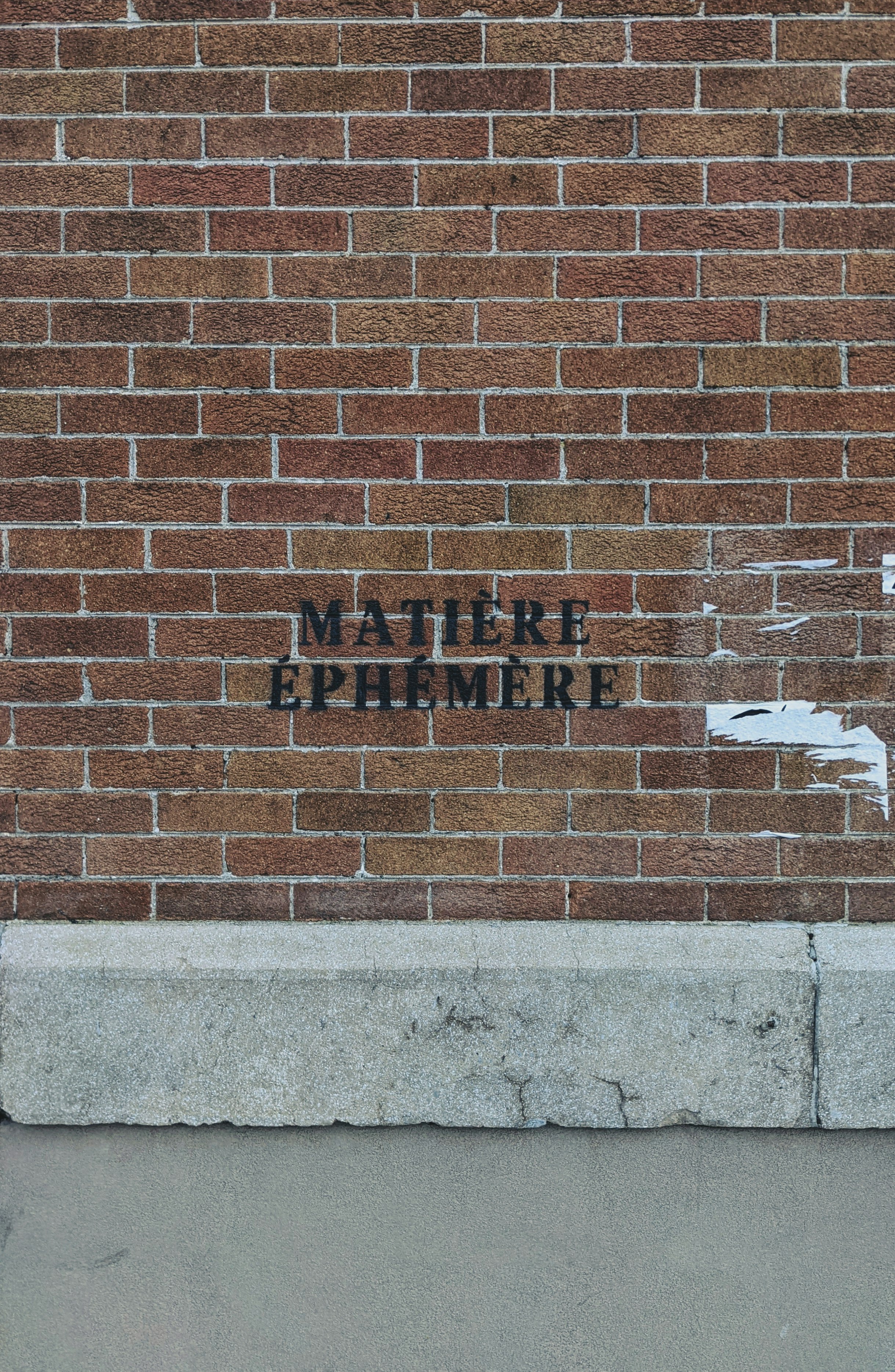 brown brick wall with white bird on top